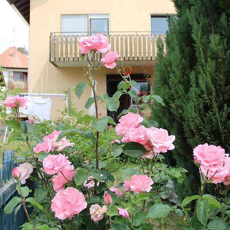 Vronis Ferienwohnungen Muhlingen Екстериор снимка